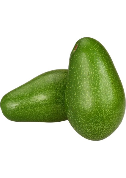 Avokado 250-300 Gram 10 Adet
