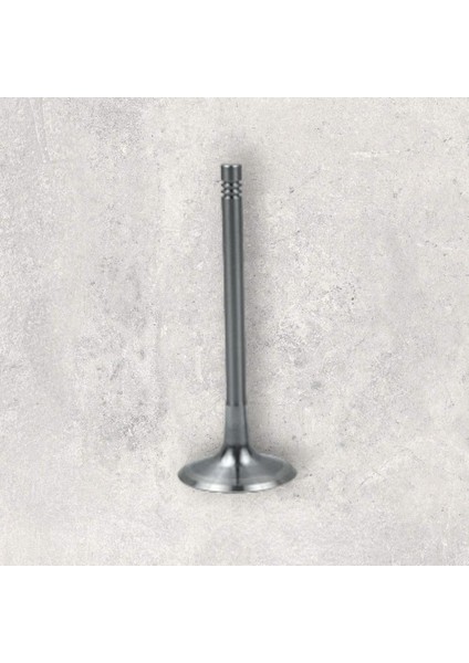 Sübap Egsoz-Octavıa -Altea-Leon