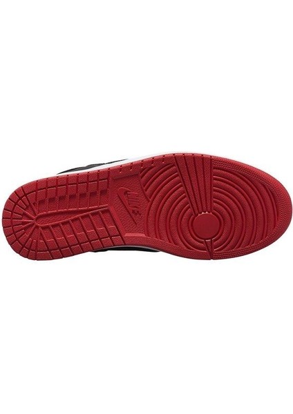 Erkek Ayakkabı Jordan Access AR3762-001