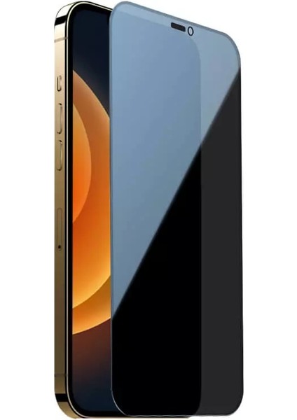 iPhone 11 Pro Max Darbeye Dayanıklı Anti Statik Temperli Hayalet Cam Ekran Koruyucu Siyah