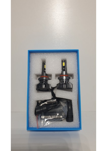 H11 Glv (Canbus) LED x Enon