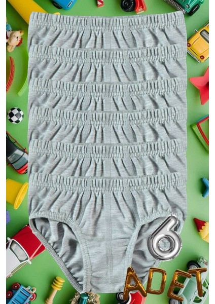 Erkek Çocuk Pamuklu Slip Külot 6'lı Paket