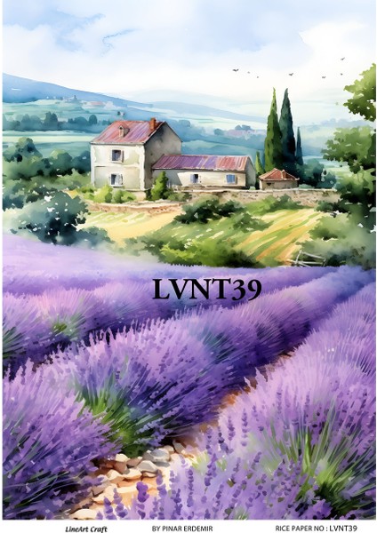 Pirinç Dekopaj Kağıdı 29X42CM NO:LVNT39
