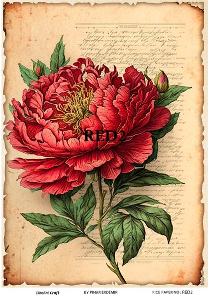 Pirinç Dekopaj Kağıdı 29X42CM No:red2