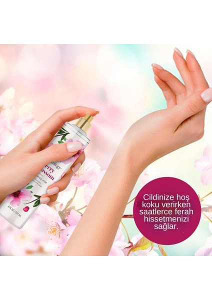 Cherry Blossom Fragrance Mist Kadın Vücut Spreyi