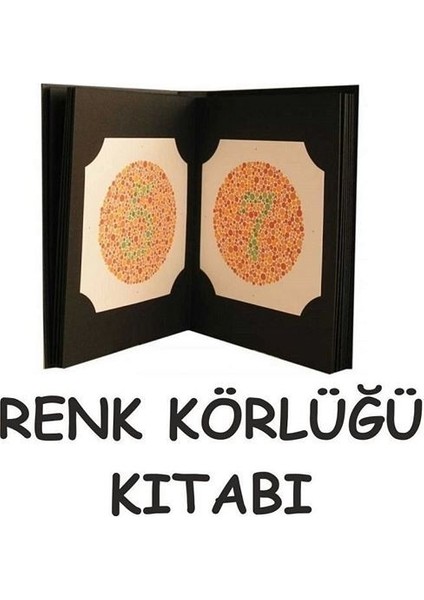 İshihara Kitabı