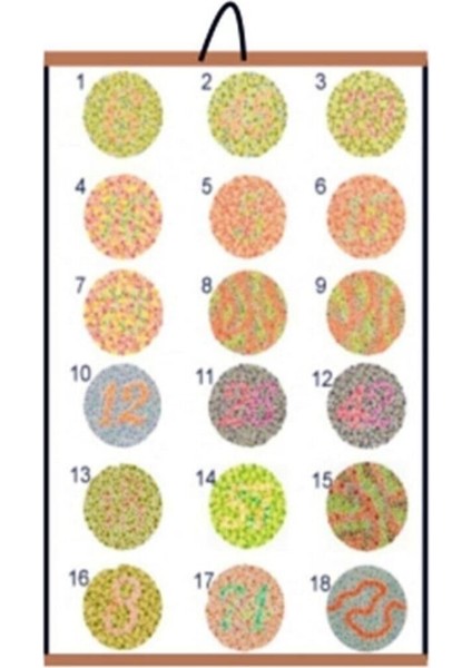 Renk Körlüğü Test Skalası