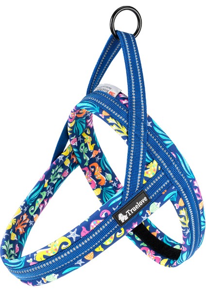 Ocean Mavi Köpek Göğüs Tasması