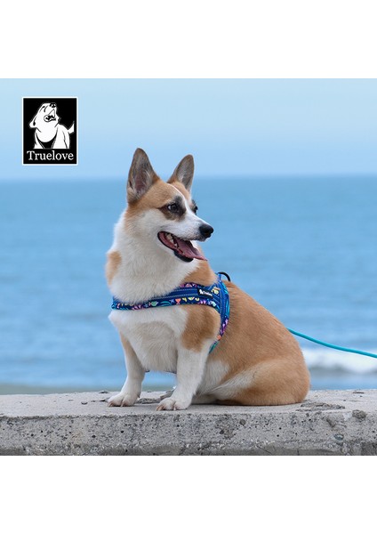 Ocean Mavi Köpek Göğüs Tasması modelleri