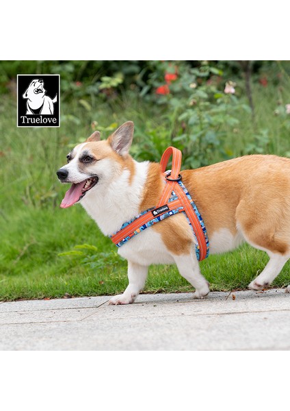 Marine Turuncu Köpek Göğüs Tasması modelleri