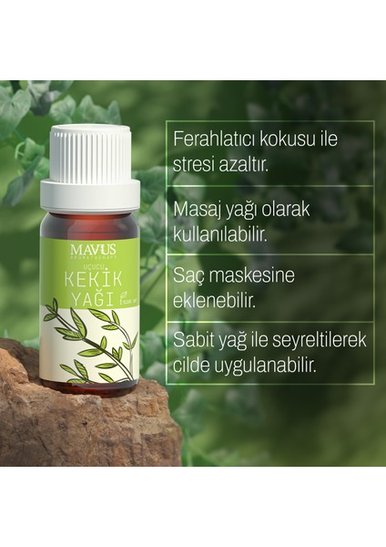 Kekik Uçucu Yağı 3'lü Set 10 ml %100 Saf ve Doğal (Orıganum Onıtes Essentıal Oıl)