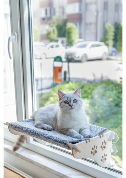 Ahşap Kedi Yatağı
