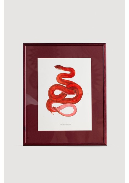 Serpent Serisi Tablo No:2