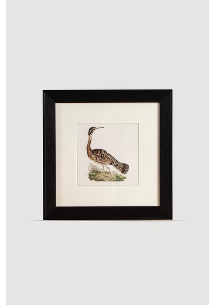 Bird Serisi Tablo No: 2