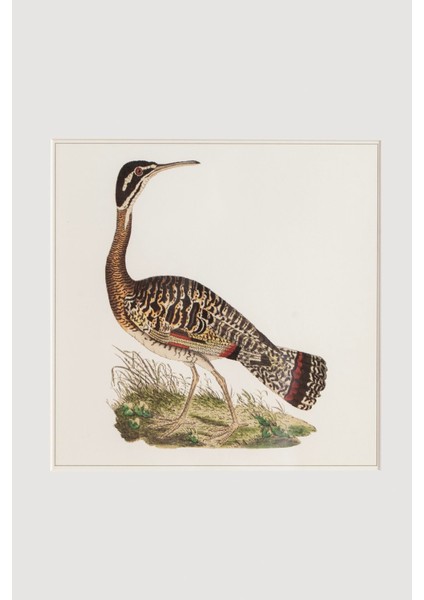 Bird Serisi Tablo No: 2
