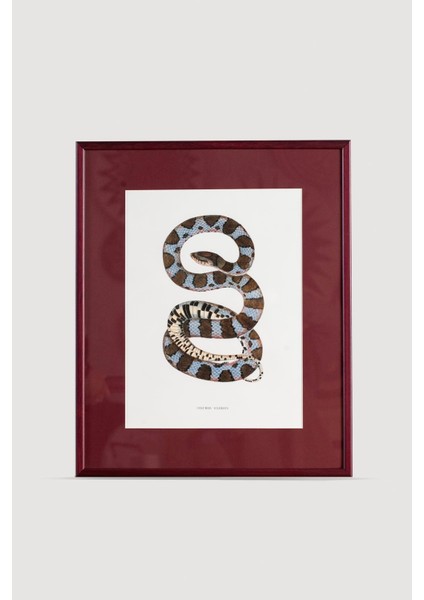 Serpent Serisi Tablo No:1