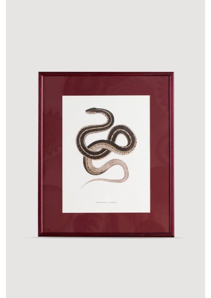 Serpent Serisi Tablo No:3