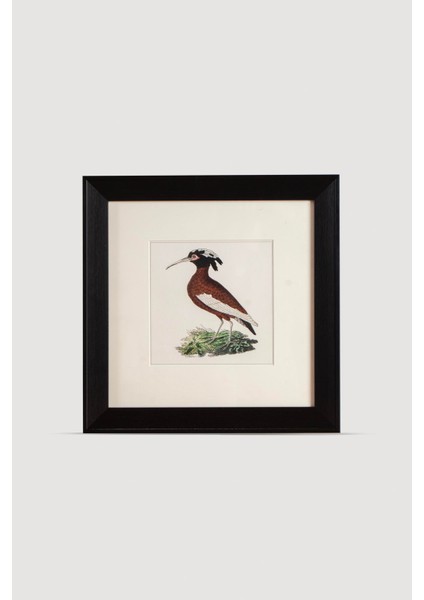 Bird Serisi Tablo No: 1