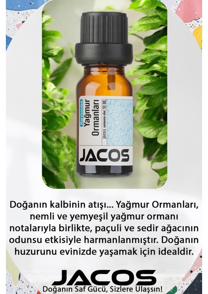 Bergamot Yağmur Ormanları Lotus Esansiyel Uçucu Yağı Difüzör Esansı Oda Kokusu 3'lü Set