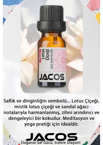 Bergamot Yağmur Ormanları Lotus Esansiyel Uçucu Yağı Difüzör Esansı Oda Kokusu 3'lü Set