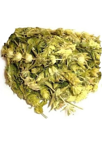 Yayla Çayı Anamur Adaçayı 100G