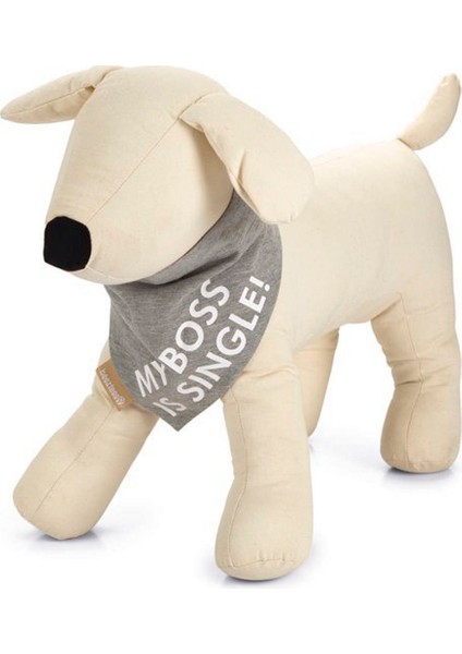 Bandana Boyun Tasması Gri 22*12 cm Small