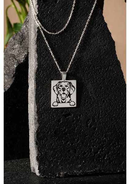 Sevimli Köpek Model Siyah Mineli Gümüş Kolye