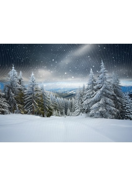 Büyüleyici Kış Ormanı Manzarası Stüdyo Fonu 200 x 150 cm Arka Plan