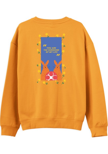 Rabbit Regular Sweatshirt fiyatları