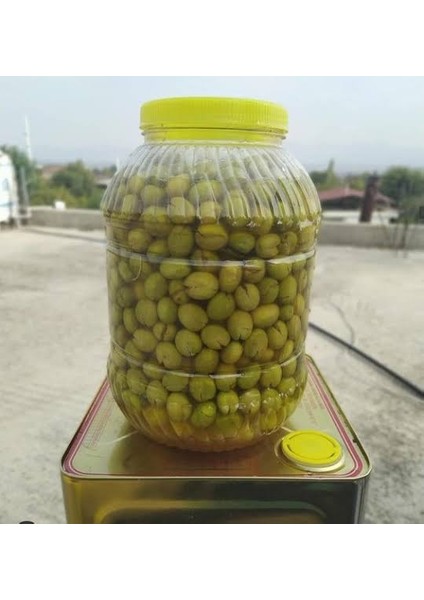 Yeşil Zeytin (Trilye) Cinsi Orta Boy Net:3 KG