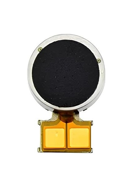 Samsung Galaxy S8 PLUS - SM-G955F Titreşim Motoru Flex