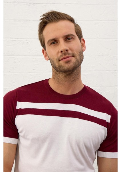 Erkek Renkli Slim-Fit Kalıp Yazlık Triko T-Shirt Bordo - 5018DNGR fiyatları