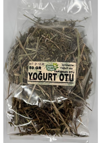 Yoğurt Otu 50 gr ( Yapışkan Otu)