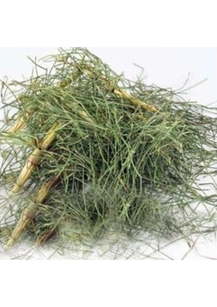 Kırkkilit Otu At Kuyruğu Bitkisi 250G modelleri