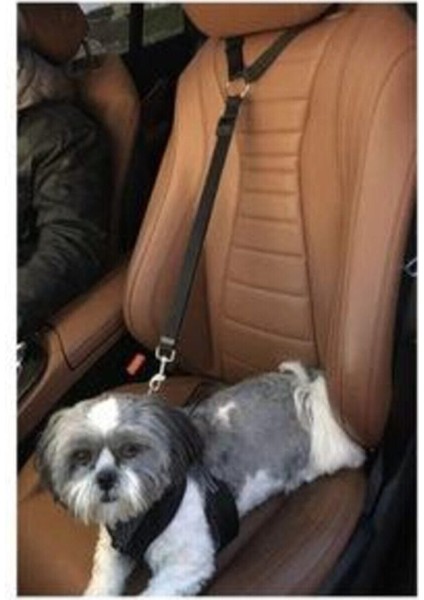 Ankaflex Araç Içi Koltuğa Bağlanabilen Evcil Hayvan Araç Tasması Kemeri modelleri