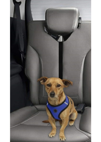 Ankaflex Araç Içi Koltuğa Bağlanabilen Evcil Hayvan Araç Tasması Kemeri fırsatları