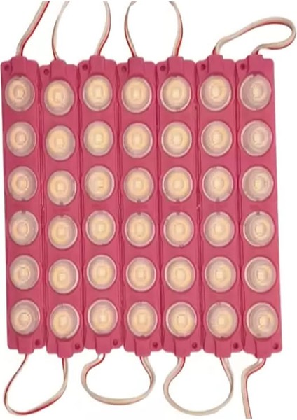 12 Volt 6 Watt 6'lı Modül LED (10 Adet)
