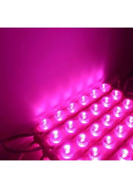 12 Volt 6 Watt 6'lı Modül LED (10 Adet)