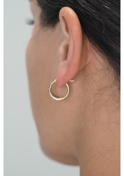 14 Ayar Altın 3 Renk Halka Küpe fiyatları