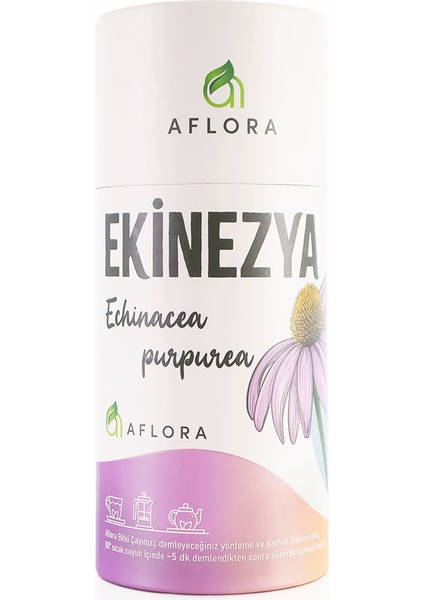 Ekinezya Echinacea Purpurea