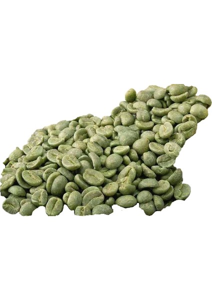 Yeşil Kahve Tane 500 gr fiyatları
