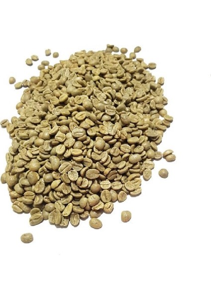 Yeşil Kahve Tane 500 gr modelleri