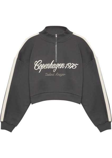 Şerit Detaylı Fermuarlı Crop Sweatshirt Antrasit