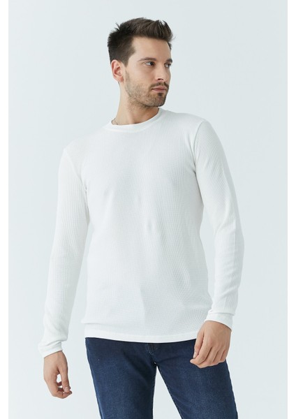 Erkek Yaka 3 Düğme Body 5066