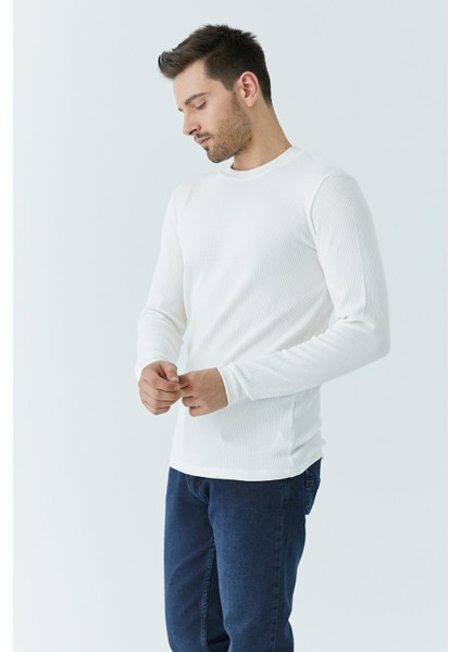 Erkek Yaka 3 Düğme Body 5066