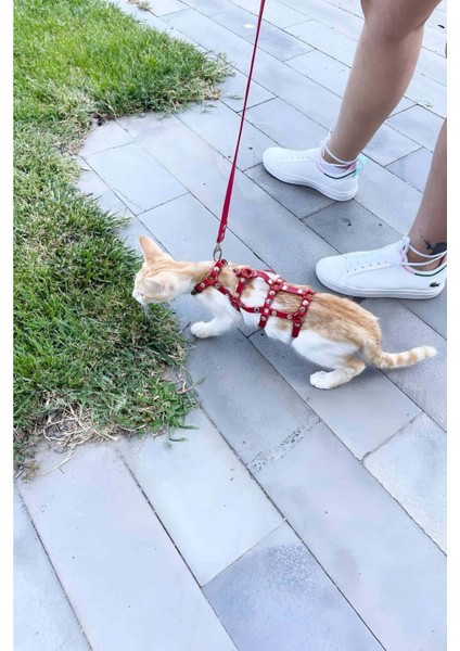Modlive Full Body Kedi Harness, Kedi Gezdirme Tasması, Kedi Sokak Tasması - NPC011