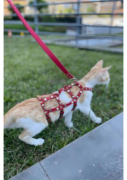 Modlive Full Body Kedi Harness, Kedi Gezdirme Tasması, Kedi Sokak Tasması - NPC011