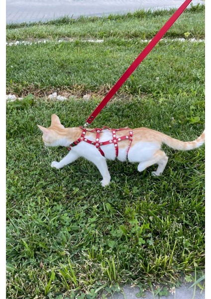 Modlive Full Body Kedi Harness, Kedi Gezdirme Tasması, Kedi Sokak Tasması - NPC011