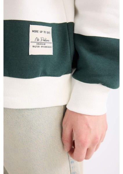 Boxy Fit Bisiklet Yaka Çizgili Sweatshirt A9066AX24AU