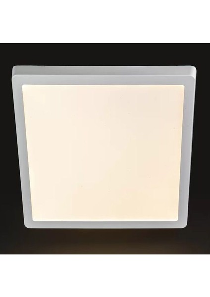 24W Sıva Üstü Kare Beyaz Kasa LED Panel YL15-2400, YL15-2401 Günışığı